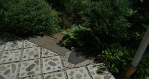 interior header patio stone stairs surrounded by lots of plants 300x159 - interior-header-patio-stone-stairs-surrounded-by-lots-of-plants